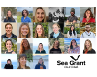 2024 State Fellows