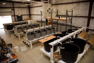 the delta smelt refuge facility